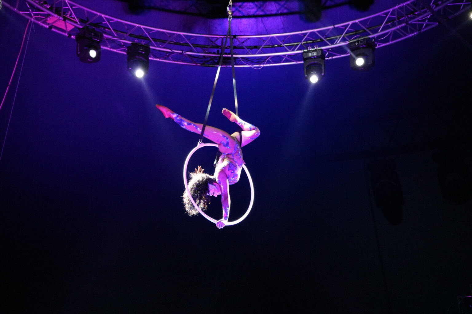 trapeze artistry