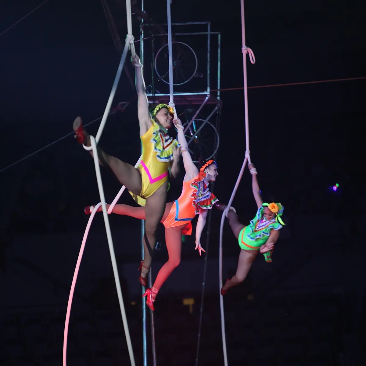 The TZ AERIALISTS & DANCERS